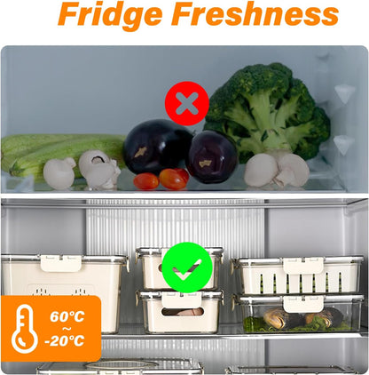 4 Compartment - Portable Fruit Storage Containers for Fridge